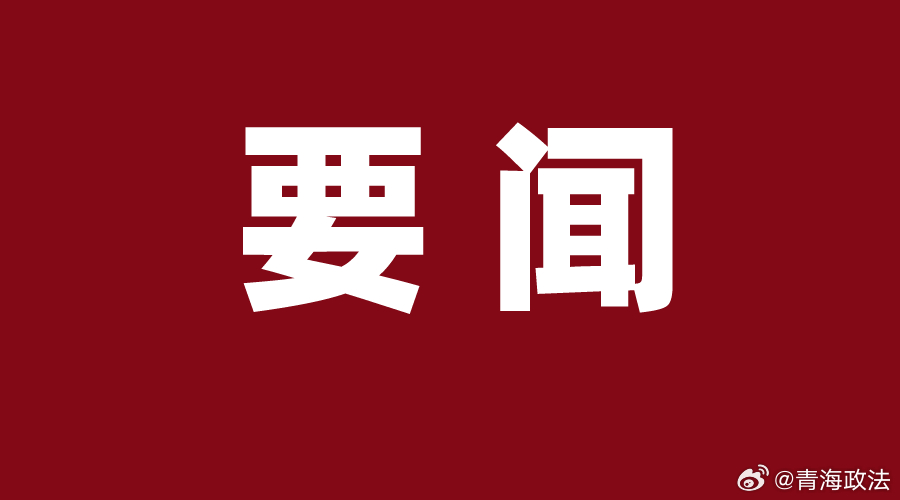 新澳门资料免费大全与质性释义的落实，深入理解与实践