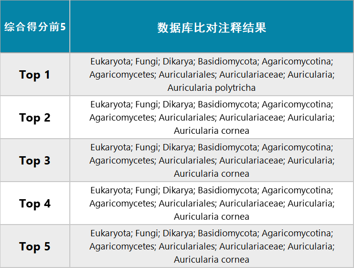 二四六944cc246免费资料大全，全新释义、解释落实与资源共享