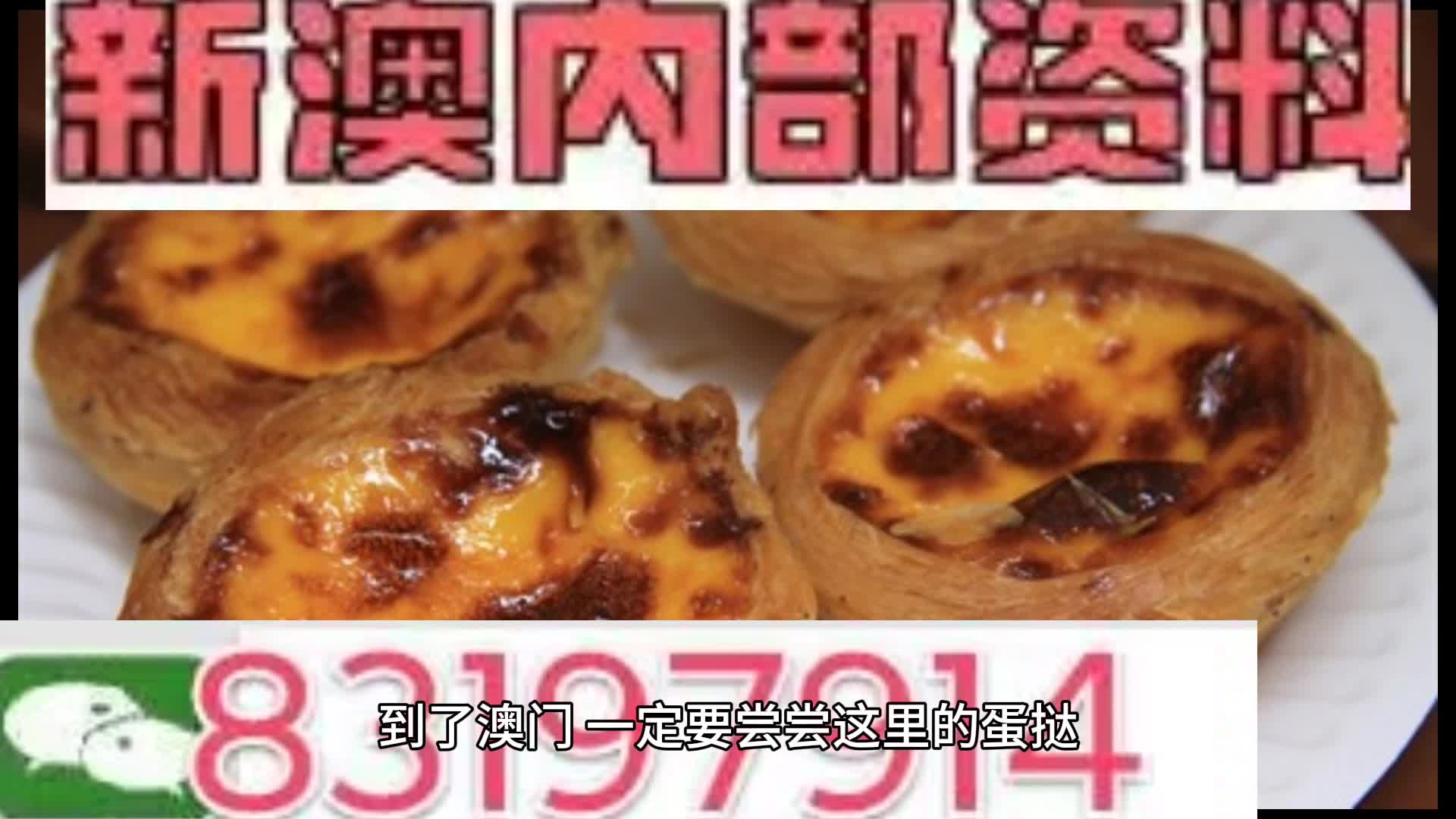 新澳门正版资料大全与飞速释义解释落实，探索与实践